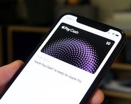 Apple Cash Guide