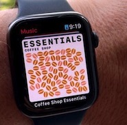 How to use the Music app on Apple Watch