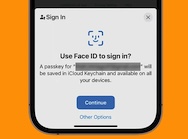 How Do Passkeys Work & How to Use Them on iPhone